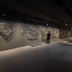 brasile_mostra_cec_11