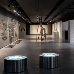 brasile_mostra_cec_12