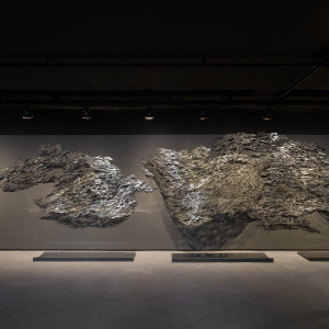 brasile_mostra_cec_13