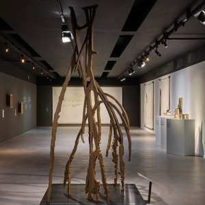 brasile_mostra_cec_19