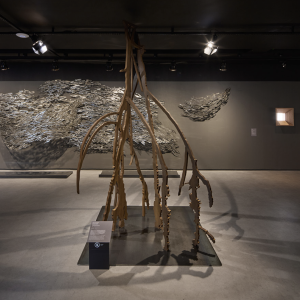 brasile_mostra_cec_20