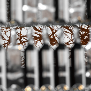 brasile_mostra_cec_21