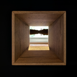 brasile_mostra_cec_25