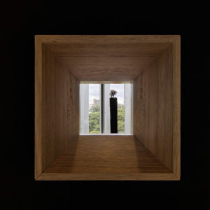 brasile_mostra_cec_26