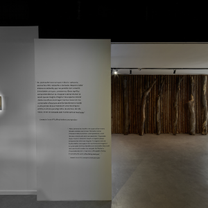 brasile_mostra_cec_31