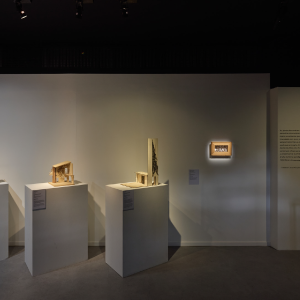 brasile_mostra_cec_32