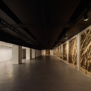 brasile_mostra_cec_54