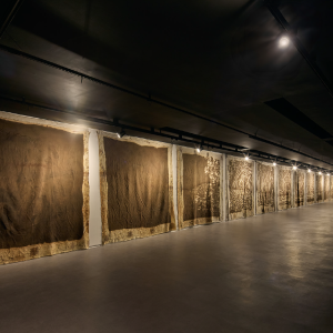 brasile_mostra_cec_59