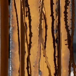 mostra-FEDEbiennale-2019-pinerolo6