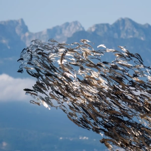 scultura-abovesealevel-2017-montreux2