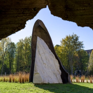 scultura-passodellebalene-2020-torino14