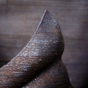 scultura-passodellebalene-2020-torino19