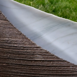scultura-passodellebalene-2020-torino6