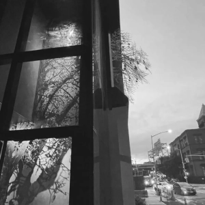 scultura_o2ny_2025_nyc_2