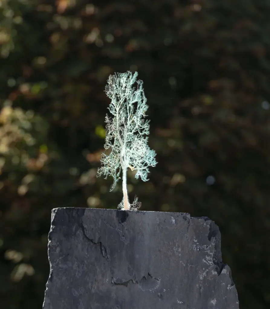 Biennale di scultura di Pinerolo
