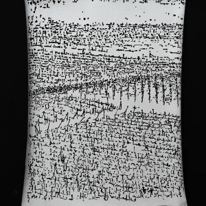 mostra-vigne scritte-2023-grazzano-10