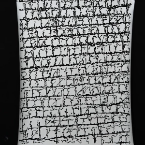 mostra-vigne scritte-2023-grazzano-11