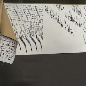 mostra-vigne scritte-2023-grazzano-12
