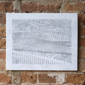 mostra-vigne scritte-2023-grazzano-15
