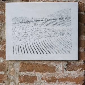 mostra-vigne scritte-2023-grazzano-16