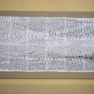 mostra-vigne scritte-2023-grazzano-18