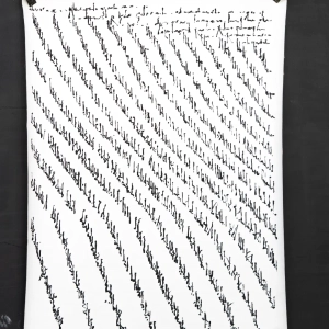 mostra-vigne scritte-2023-grazzano-6