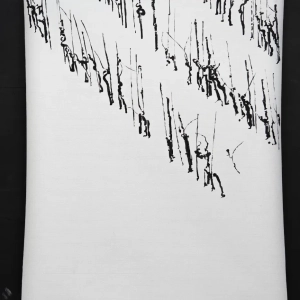 mostra-vigne scritte-2023-grazzano-7