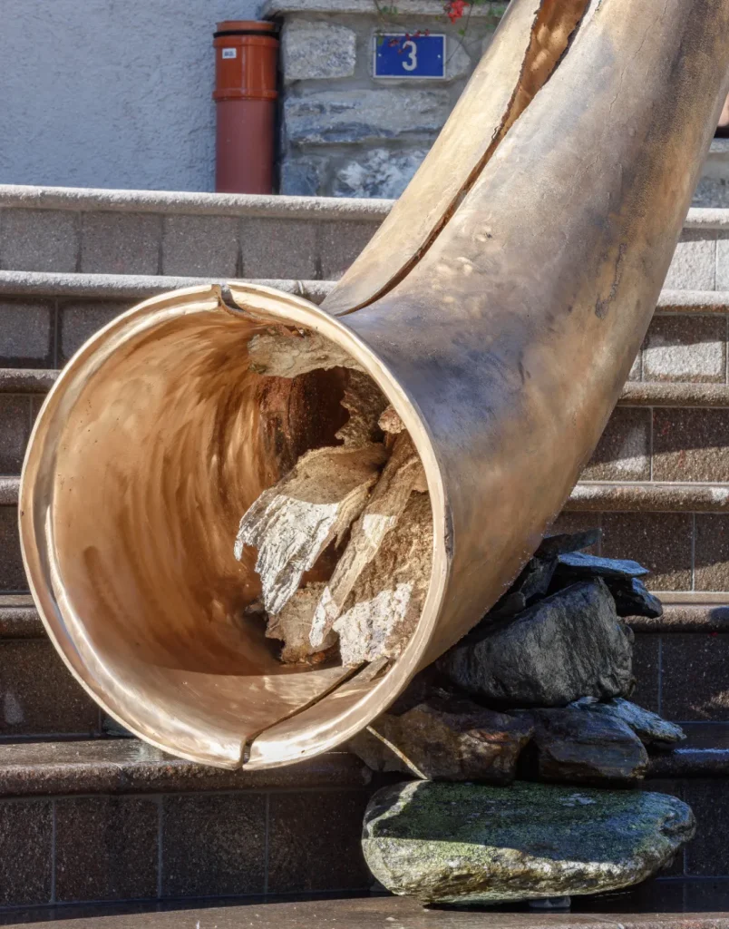 Alphorn