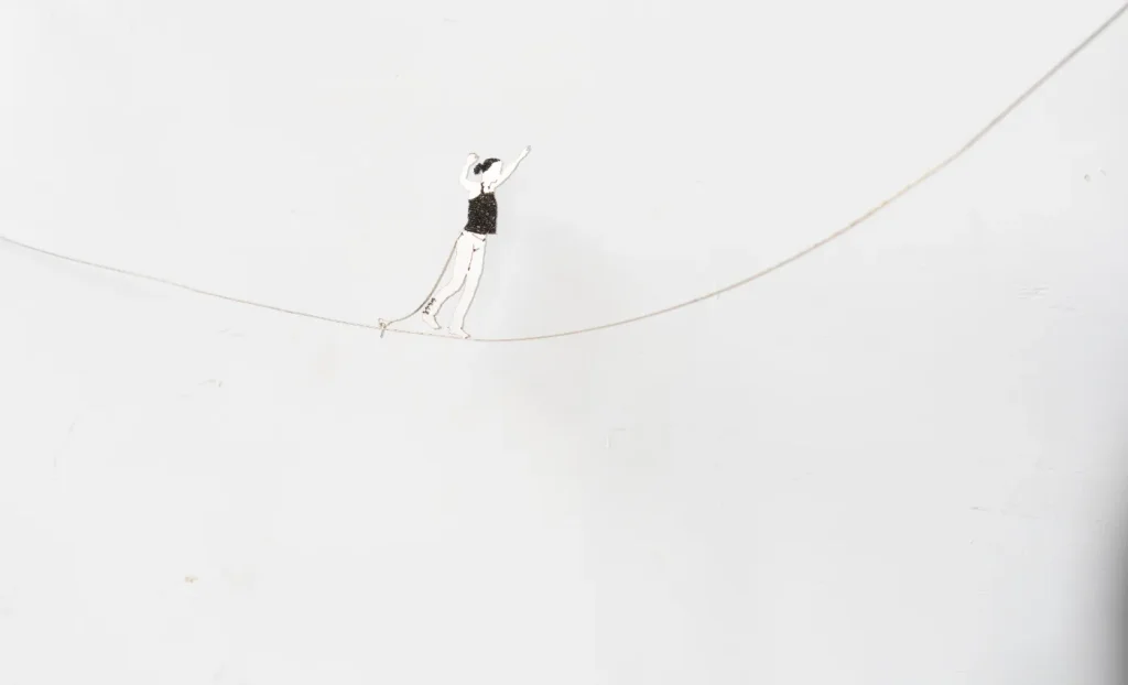 L'equilibrista